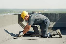 Best Asphalt Shingle Roofing  in Delshire, OH